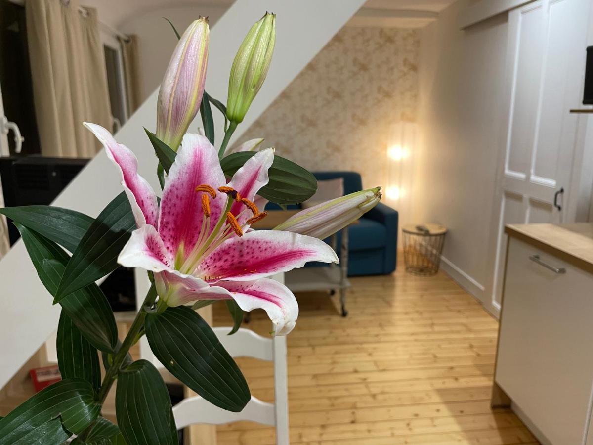 Houlgate Appartement La Briarde Eksteriør billede